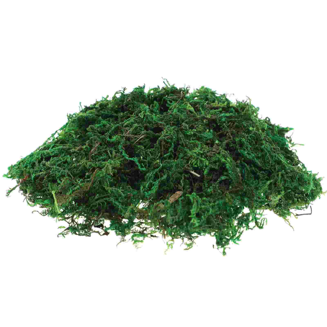 Flower Craft Decorative Moss Dried Crafts Artifical Green Plants Glass  Container Decoration